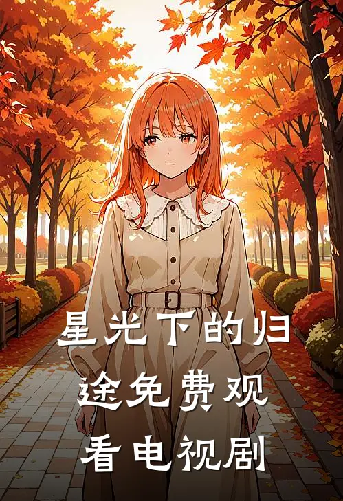 星光下的归途免费观看电视剧