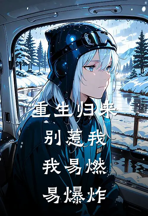 重生归来，别惹我，我易燃易爆炸
