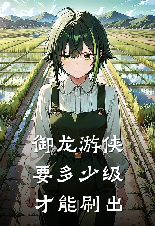 御龙游侠要多少级才能刷出